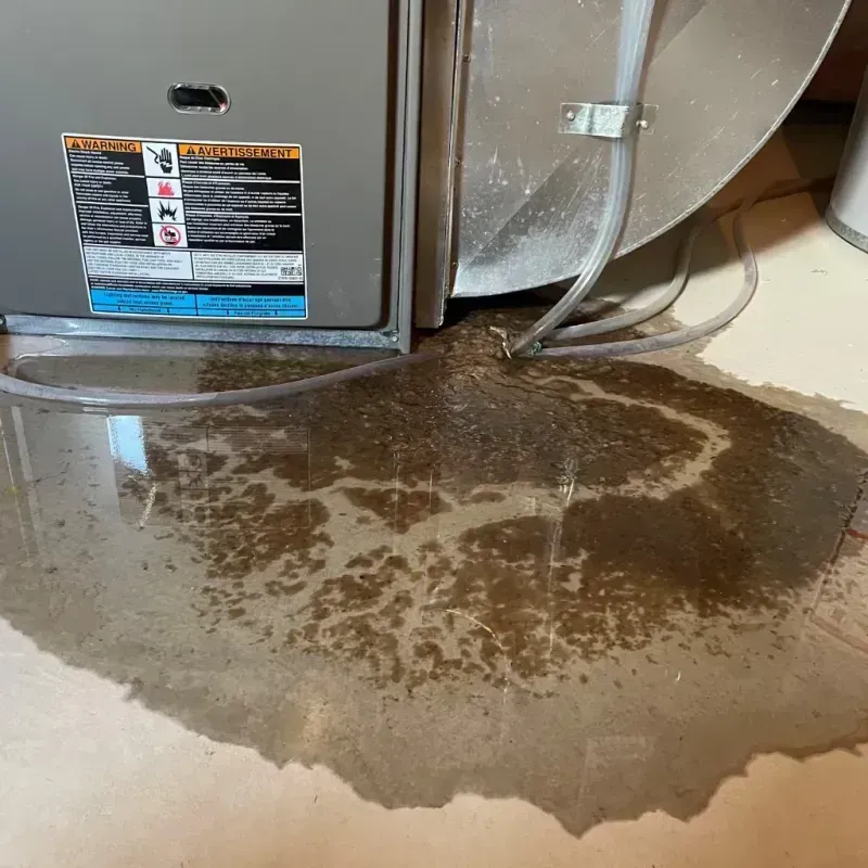 Appliance Leak Cleanup in Solomon, KS